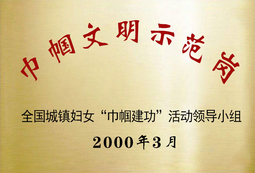 巾幗文明示范崗2000